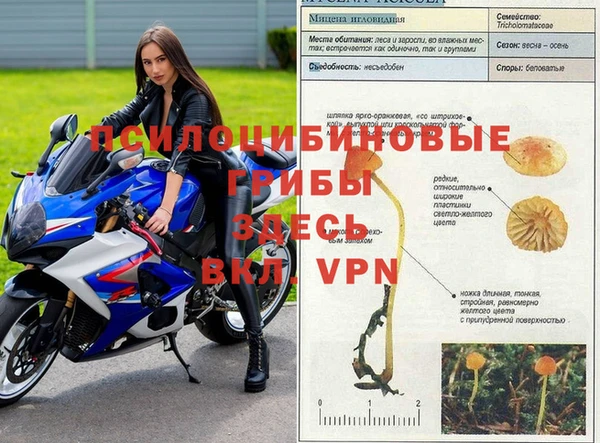 прущие крисы Балабаново